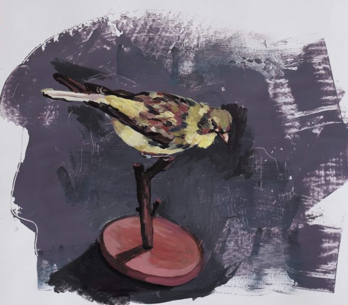 Bird 2020. acrylic on paper 40 x 40 cm